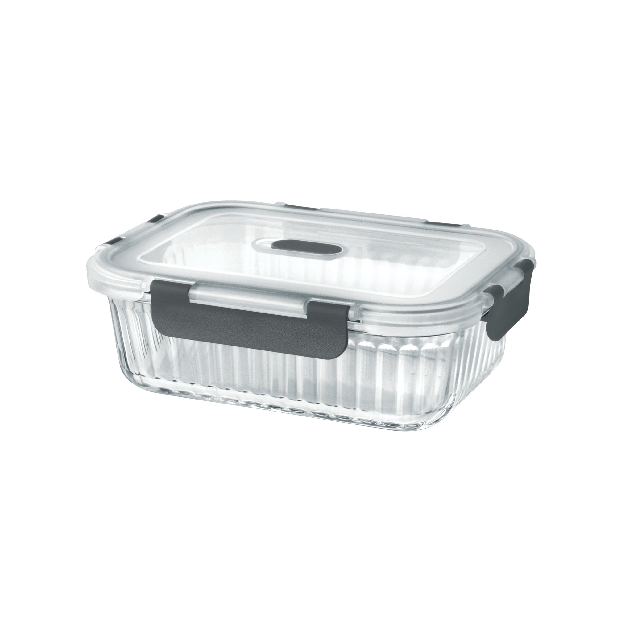 Borosilicate Clip Fresh Rib Rectangular Container (Treo by Milton)
