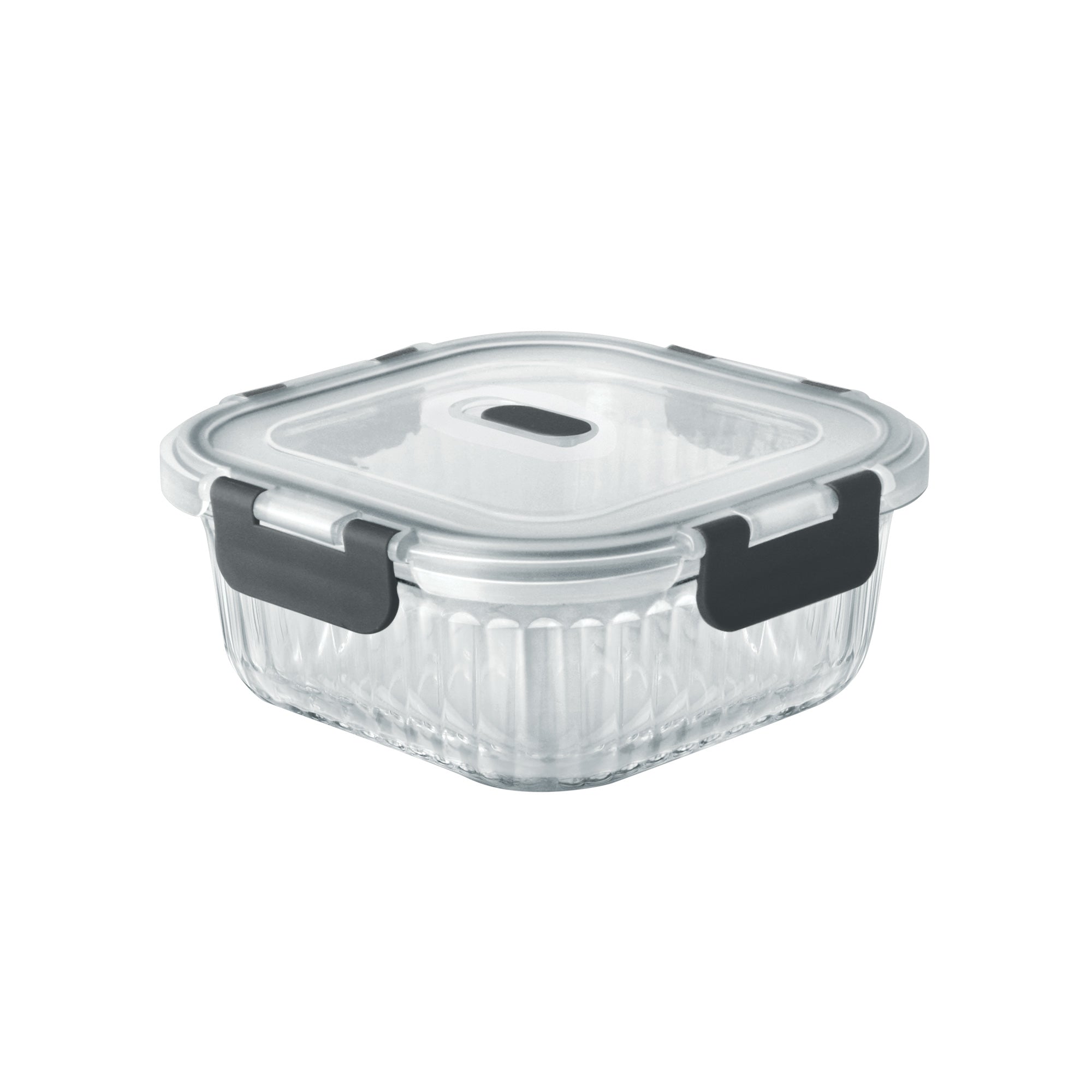 Borosilicate Clip Fresh Rib Square Container (Treo by Milton)