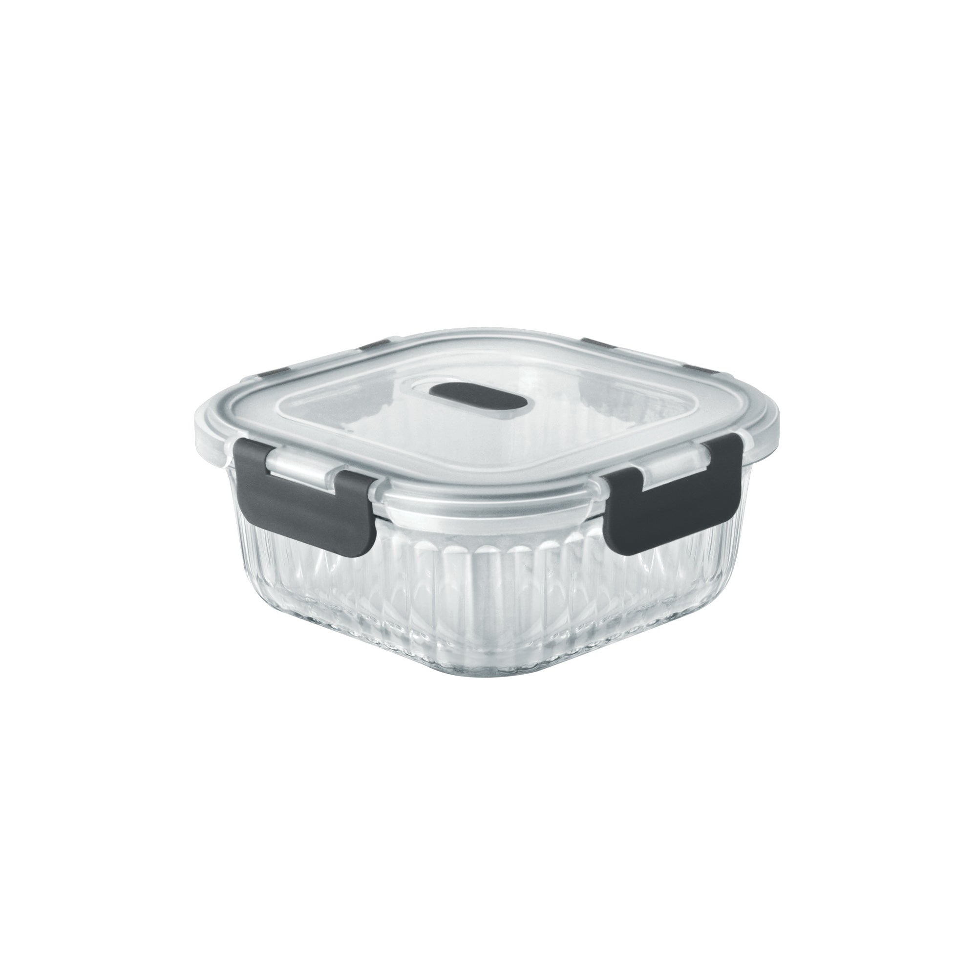 Borosilicate Clip Fresh Rib Square Container (Treo by Milton)