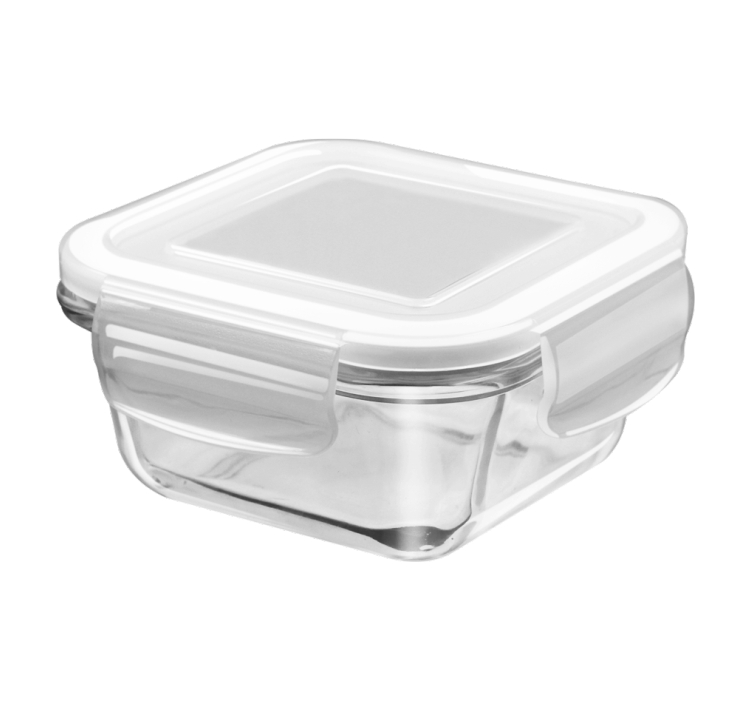 Treo Store Fresh Square Glass Container