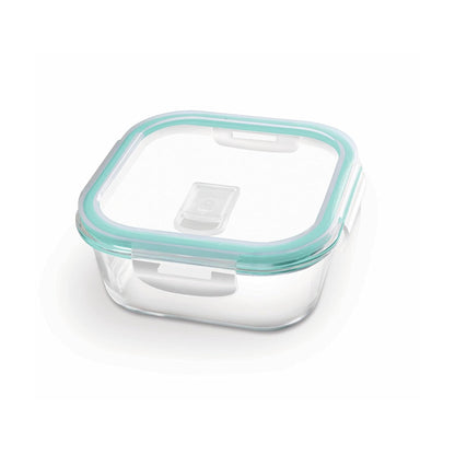 Clip Fresh Square Container (Treo by Milton)