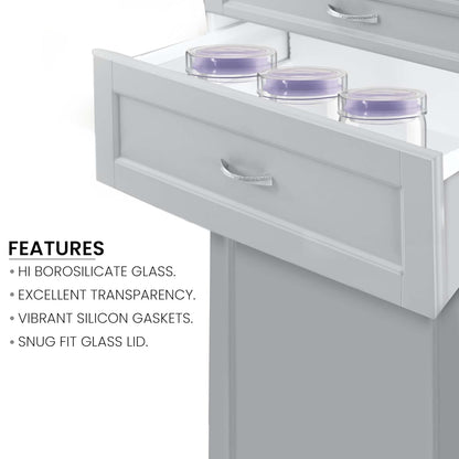 Alin Jar With Glass Lid (Treo by Milton)