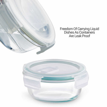 All Fresh Premier Glass Tiffin by Treo