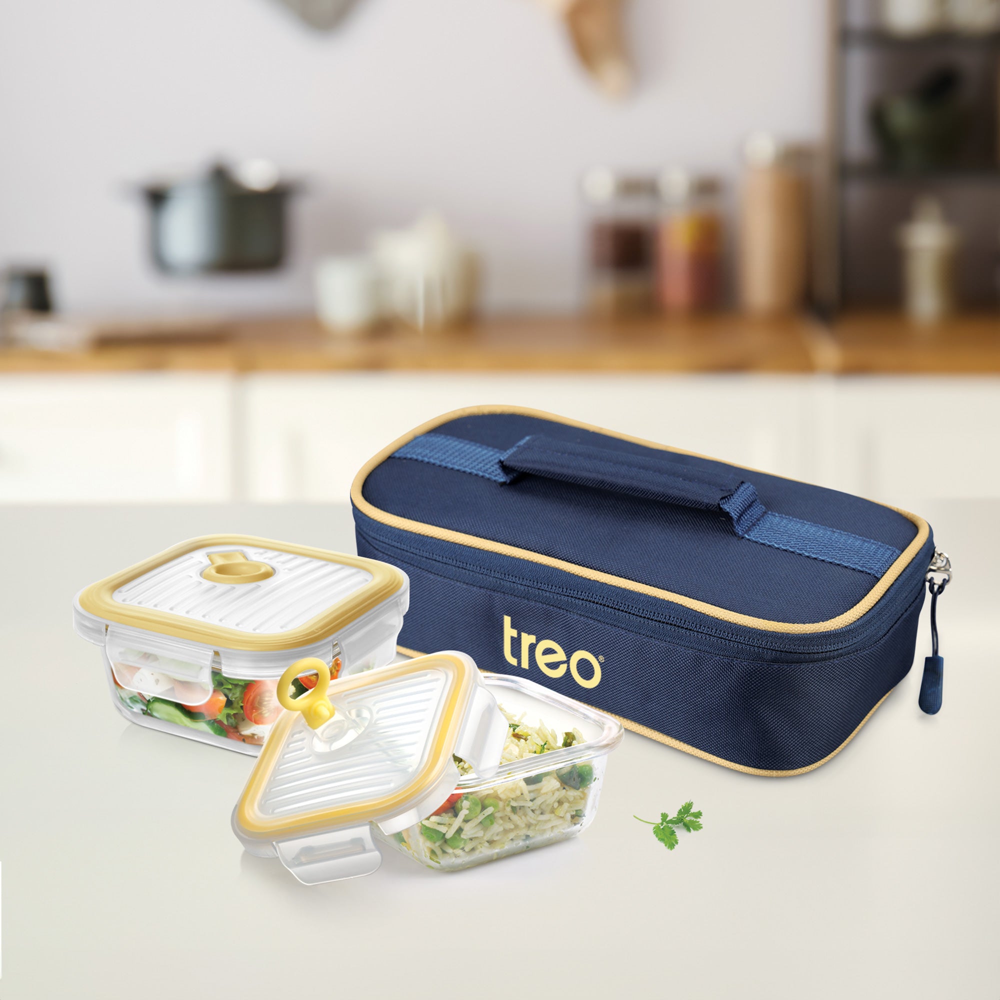 All Fresh Borosilicate Glass Tiffin (Treo by Milton)