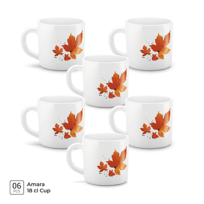 AMARA Cup Set - MAPELLE