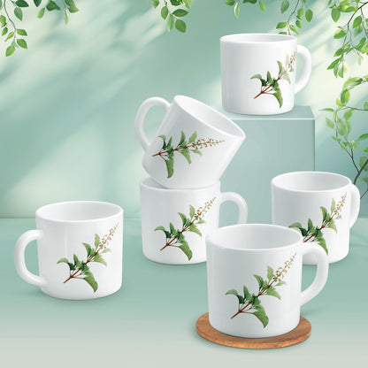 AMARA Cup Set - SAVIRA