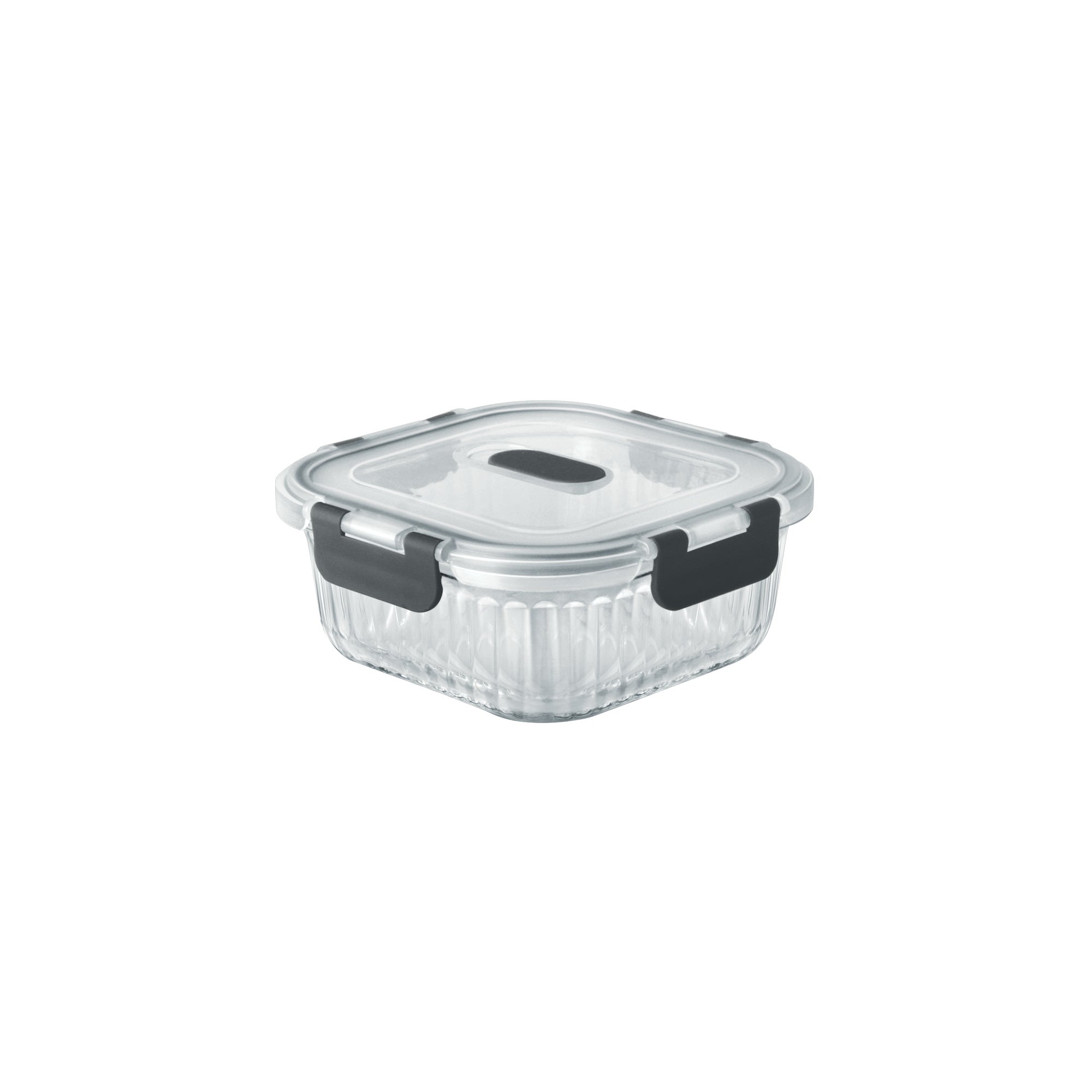 Borosilicate Clip Fresh Rib Square Container (Treo by Milton)